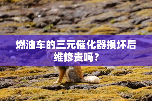 燃油车的三元催化器损坏后维修贵吗？