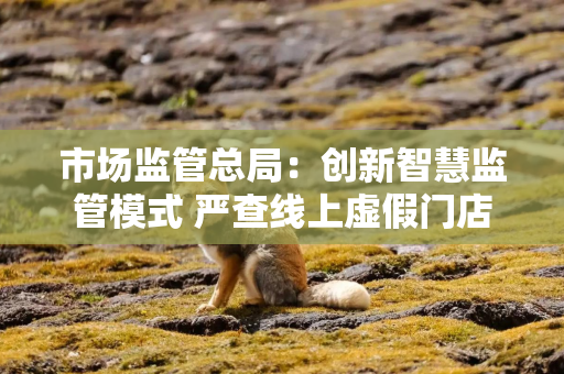 市场监管总局：创新智慧监管模式 严查线上虚假门店