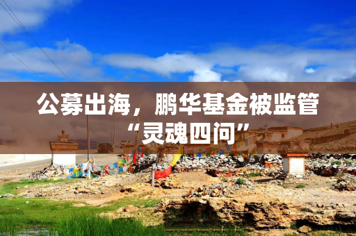 公募出海，鹏华基金被监管“灵魂四问”