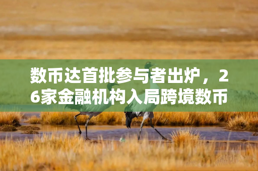 数币达首批参与者出炉，26家金融机构入局跨境数币结算