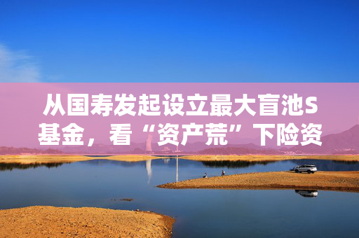 从国寿发起设立最大盲池S基金，看“资产荒”下险资配置新思路