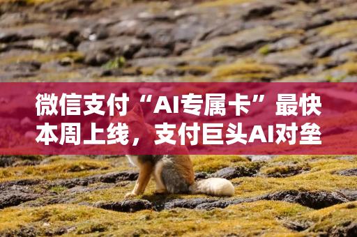 微信支付“AI专属卡”最快本周上线，支付巨头AI对垒战加速