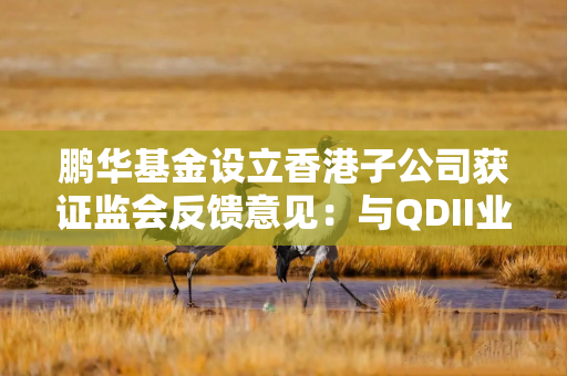 鹏华基金设立香港子公司获证监会反馈意见：与QDII业务涉及的利益冲突和输送风险进行补充说明