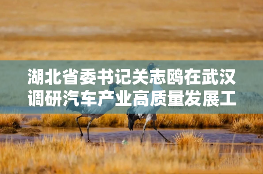湖北省委书记关志鸥在武汉调研汽车产业高质量发展工作