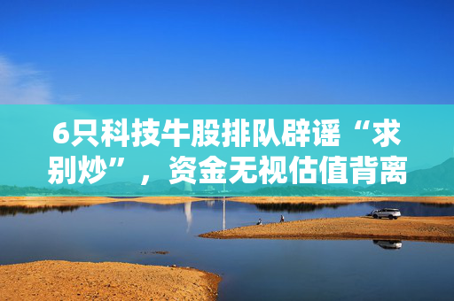 6只科技牛股排队辟谣“求别炒”，资金无视估值背离“就是不信”
