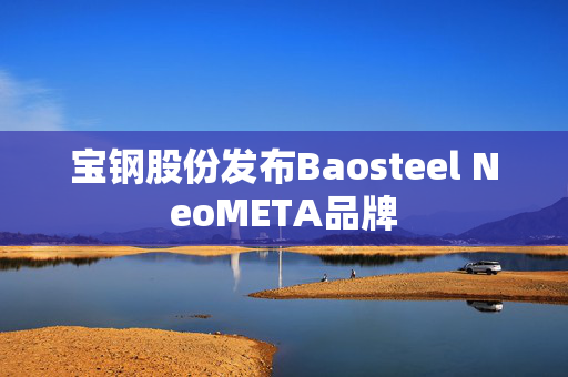 宝钢股份发布Baosteel NeoMETA品牌