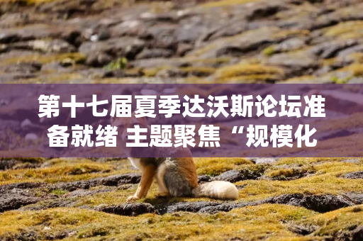 第十七届夏季达沃斯论坛准备就绪 主题聚焦“规模化创新”