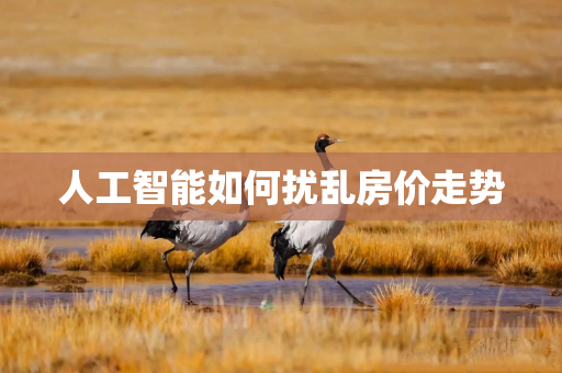 人工智能如何扰乱房价走势