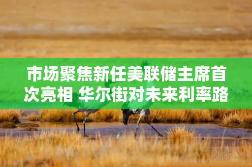 市场聚焦新任美联储主席首次亮相 华尔街对未来利率路径“各执一词”