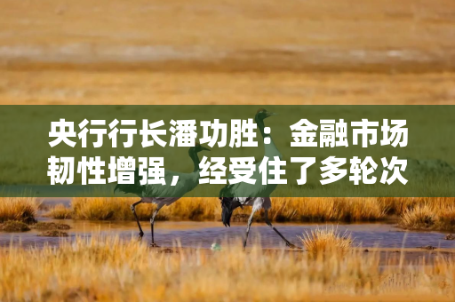央行行长潘功胜：金融市场韧性增强，经受住了多轮次、高强度的外部冲击
