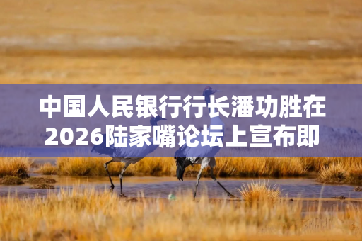 中国人民银行行长潘功胜在2026陆家嘴论坛上宣布即将出台的政策措施