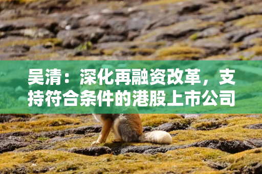 吴清：深化再融资改革，支持符合条件的港股上市公司境内上市