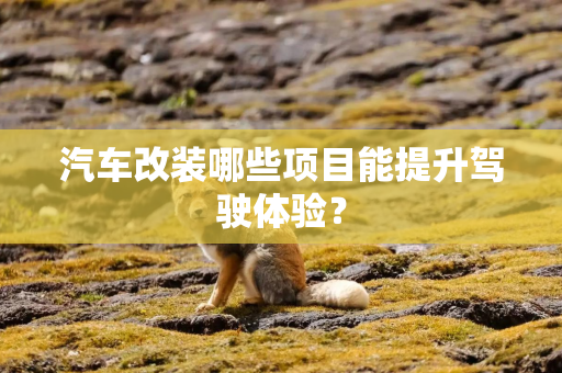 汽车改装哪些项目能提升驾驶体验? 汽车改装哪些项目能提升驾驶体验?