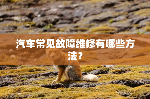 汽车常见故障维修有哪些方法? 汽车常见故障维修有哪些方法?