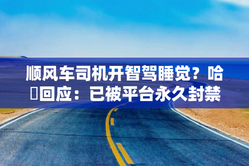 顺风车司机开智驾睡觉？哈啰回应：已被平台永久封禁，对乘客的不良体验致歉