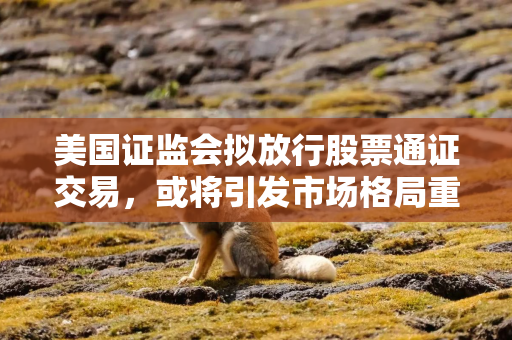 美国证监会拟放行股票通证交易，或将引发市场格局重大变革