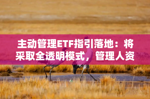 主动管理ETF指引落地:将采取全透明模式,管理人资质门槛明确 主动管理ETF指引落地:将采取全透明模式,管理人资质门槛明确