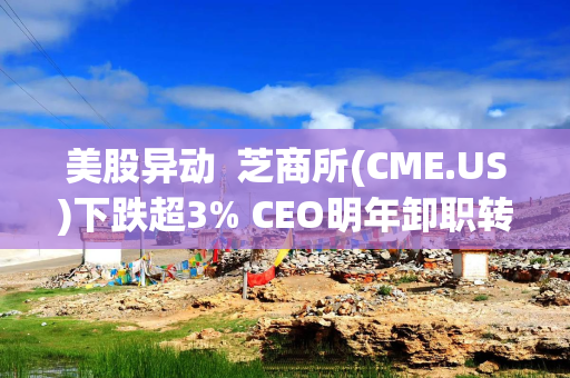 美股异动  芝商所(CME.US)下跌超3% CEO明年卸职转任执行主席
