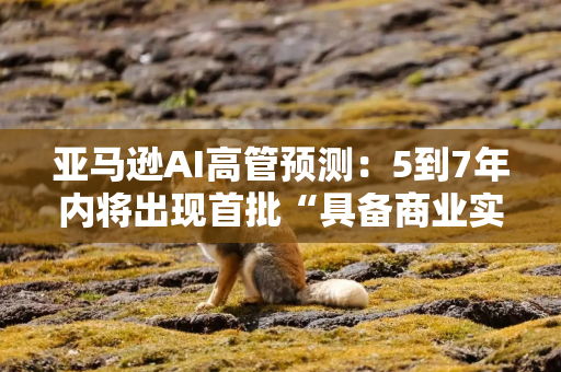 亚马逊AI高管预测：5到7年内将出现首批“具备商业实用价值”的量子计算机