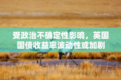 受政治不确定性影响，英国国债收益率波动性或加剧