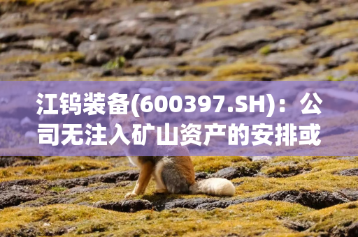 江钨装备(600397.SH)：公司无注入矿山资产的安排或活动