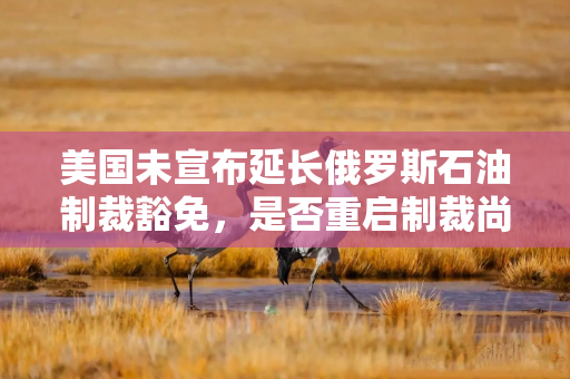 美国未宣布延长俄罗斯石油制裁豁免，是否重启制裁尚不明朗