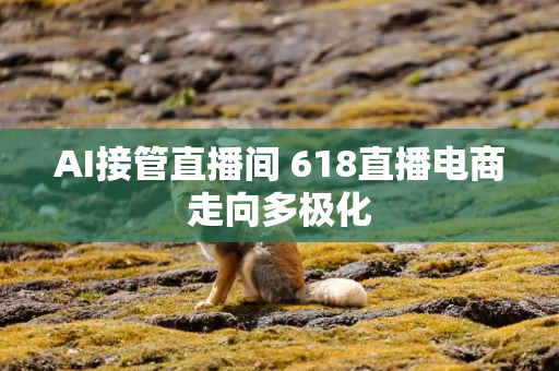 AI接管直播间 618直播电商走向多极化