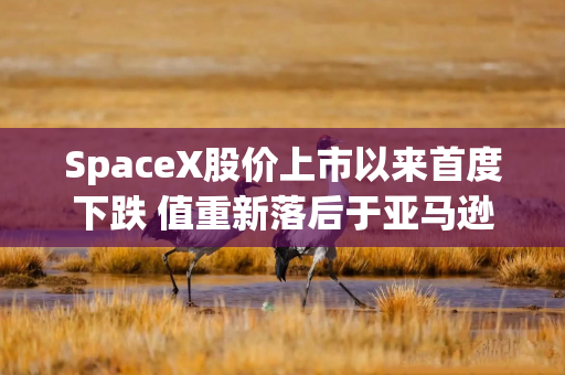 SpaceX股价上市以来首度下跌 值重新落后于亚马逊 市场人士称或逢低吸纳