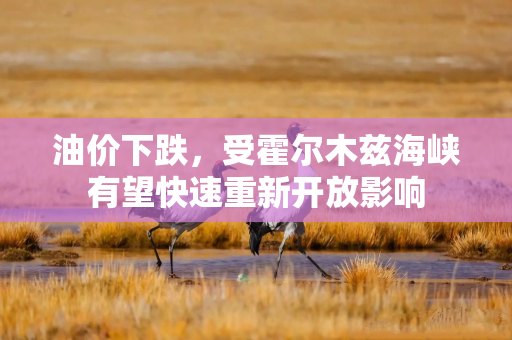 油价下跌，受霍尔木兹海峡有望快速重新开放影响