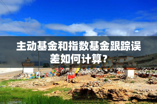 主动基金和指数基金跟踪误差如何计算? 主动基金和指数基金跟踪误差如何计算?
