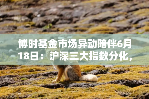 博时基金市场异动陪伴6月18日：沪深三大指数分化，创业板指涨超2%