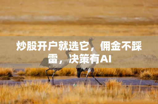炒股开户就选它,佣金不踩雷,决策有AI 炒股开户就选它,佣金不踩雷,决策有AI