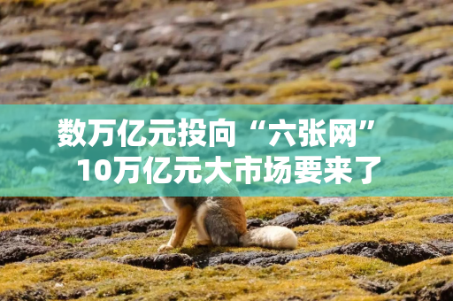 数万亿元投向“六张网” 10万亿元大市场要来了