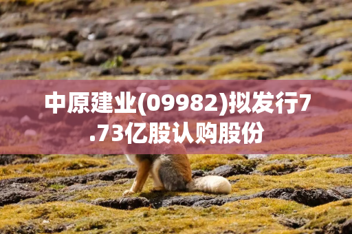 中原建业(09982)拟发行7.73亿股认购股份