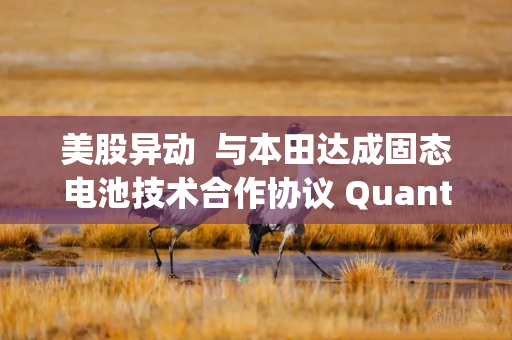 美股异动  与本田达成固态电池技术合作协议 QuantumScape(QS.US)涨逾6%