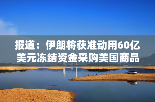 报道：伊朗将获准动用60亿美元冻结资金采购美国商品
