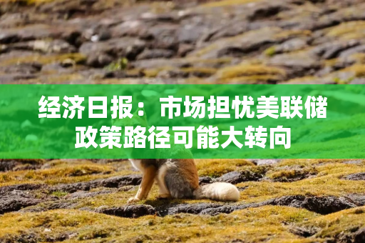 经济日报:市场担忧美联储政策路径可能大转向 经济日报:市场担忧美联储政策路径可能大转向