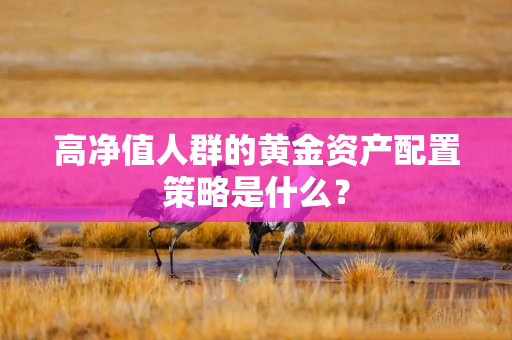 高净值人群的黄金资产配置策略是什么？