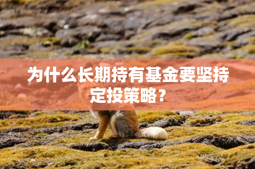 为什么长期持有基金要坚持定投策略？