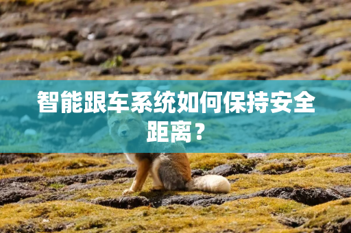 智能跟车系统如何保持安全距离? 智能跟车系统如何保持安全距离?
