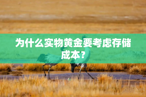 为什么实物黄金要考虑存储成本？