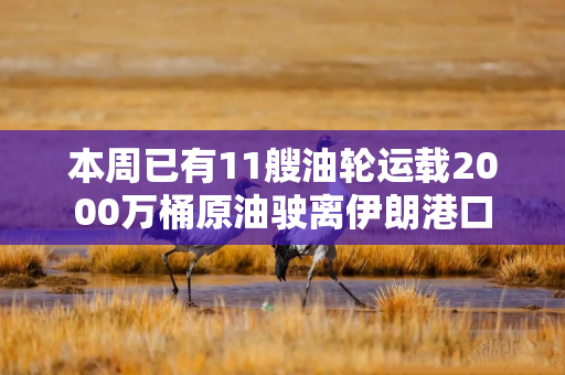 本周已有11艘油轮运载2000万桶原油驶离伊朗港口