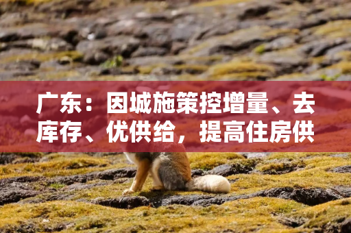 广东：因城施策控增量、去库存、优供给，提高住房供应适配性