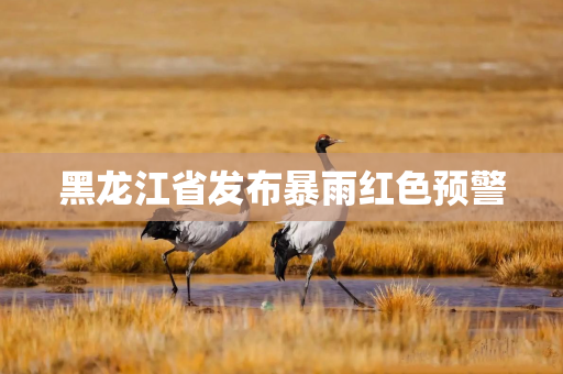 黑龙江省发布暴雨红色预警