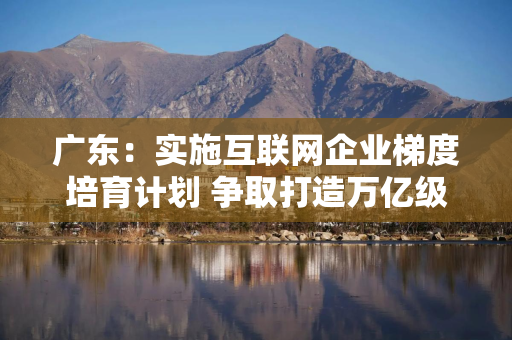 广东：实施互联网企业梯度培育计划 争取打造万亿级世界一流互联网企业（附全文）