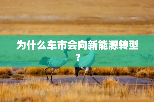 为什么车市会向新能源转型? 为什么车市会向新能源转型?