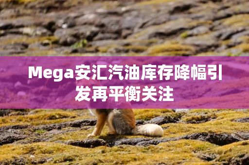 Mega安汇汽油库存降幅引发再平衡关注