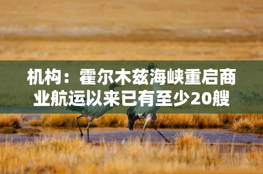 机构：霍尔木兹海峡重启商业航运以来已有至少20艘油轮通航