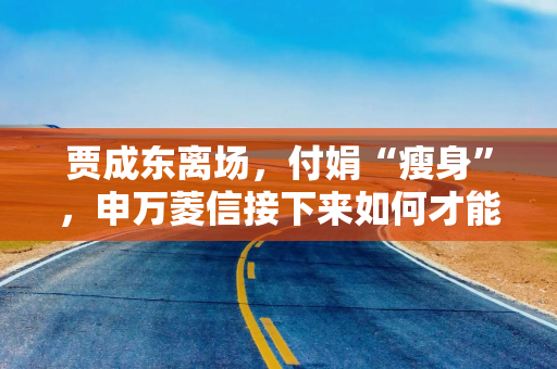 贾成东离场，付娟“瘦身”，申万菱信接下来如何才能打出好牌？