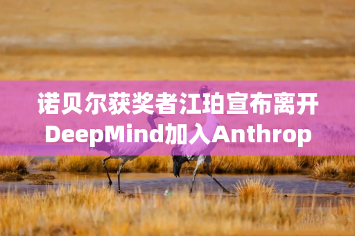 诺贝尔获奖者江珀宣布离开DeepMind加入Anthropic